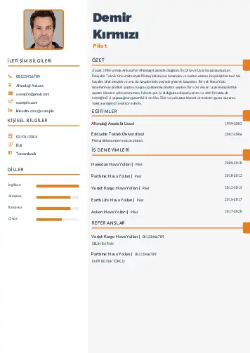 Pilot CV Örnekleri cv indir